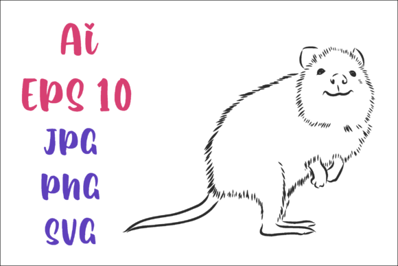 Download Kwoka Kangaroo Vector Sketch - Kangaroo vector Collection