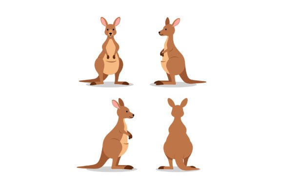 Download Kangaroo Vector Illustration in Four Dif - Kangaroo vector Collection